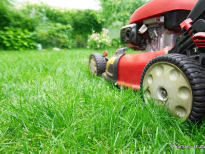 Rasen rings um die Schule mähen